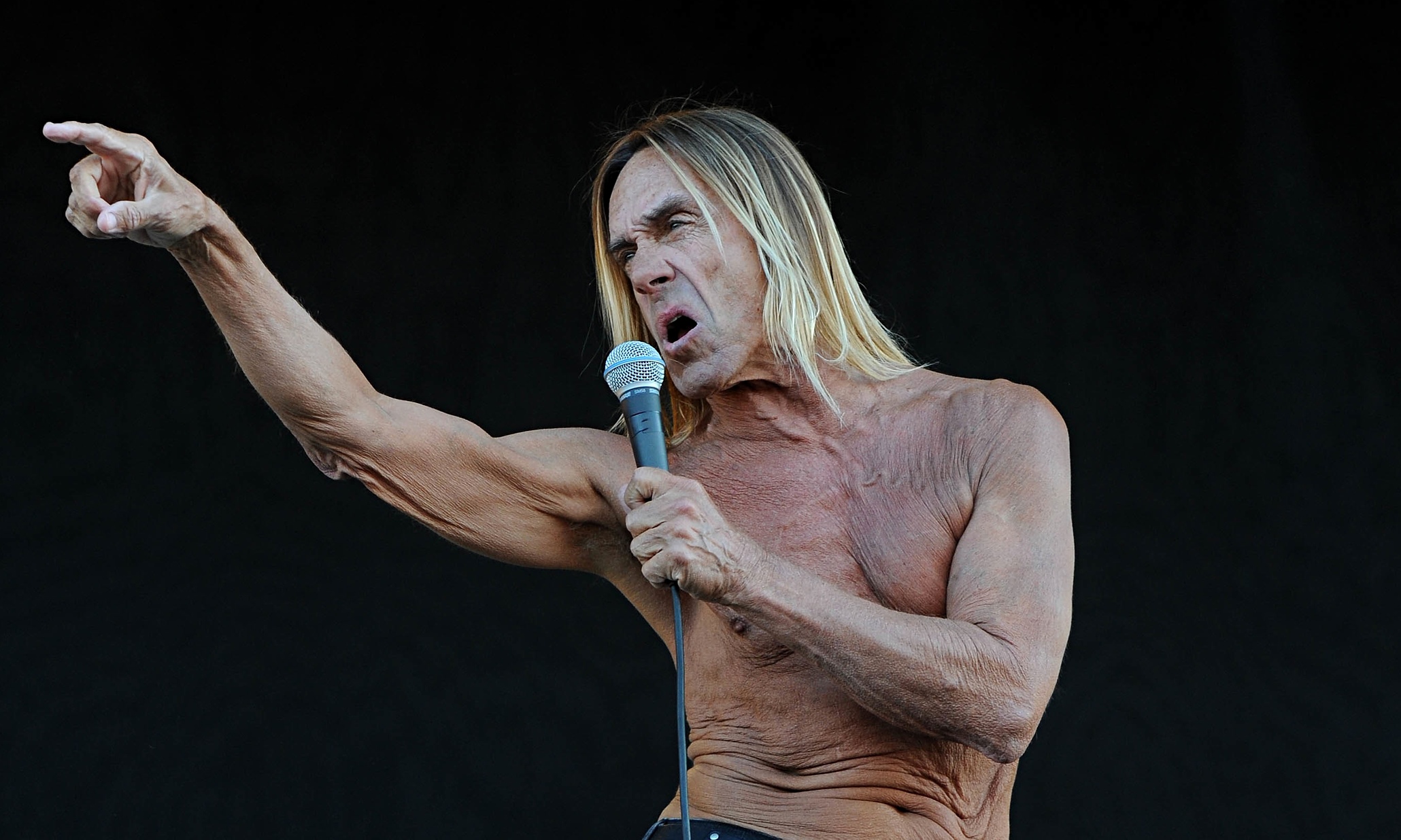 Selamat Ulang Tahun Iggy Pop